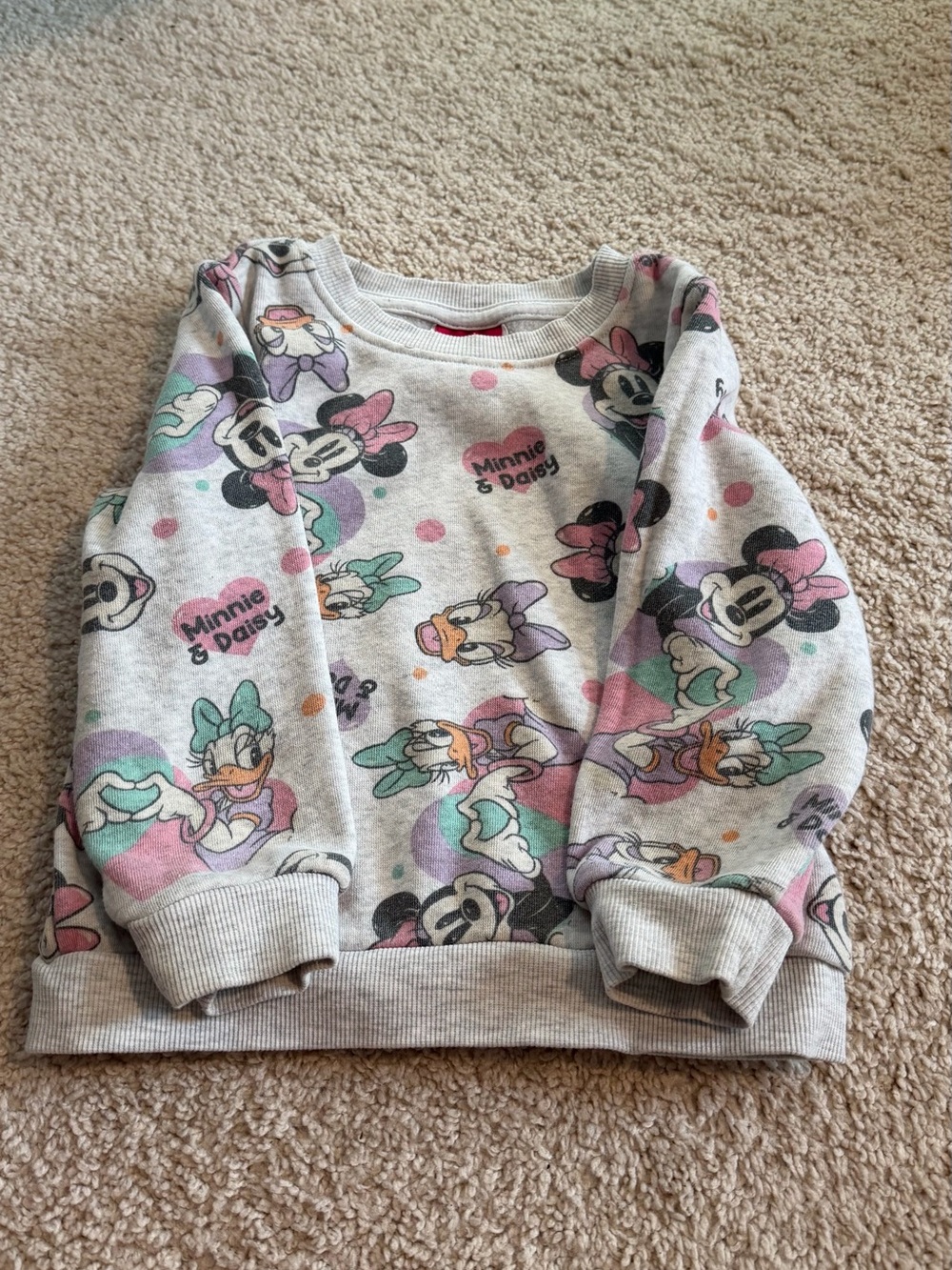 Target Kids Minnie & Daisy Light Gray Pullover Sweatshirt with Pastel Accents